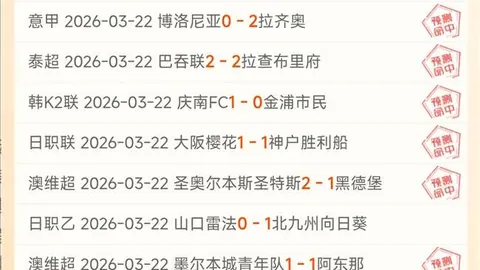 鹏城星光：深圳足球梦想之旅